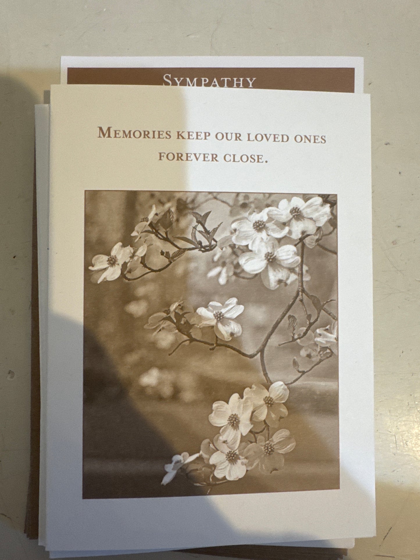 Shannon Martin Cards