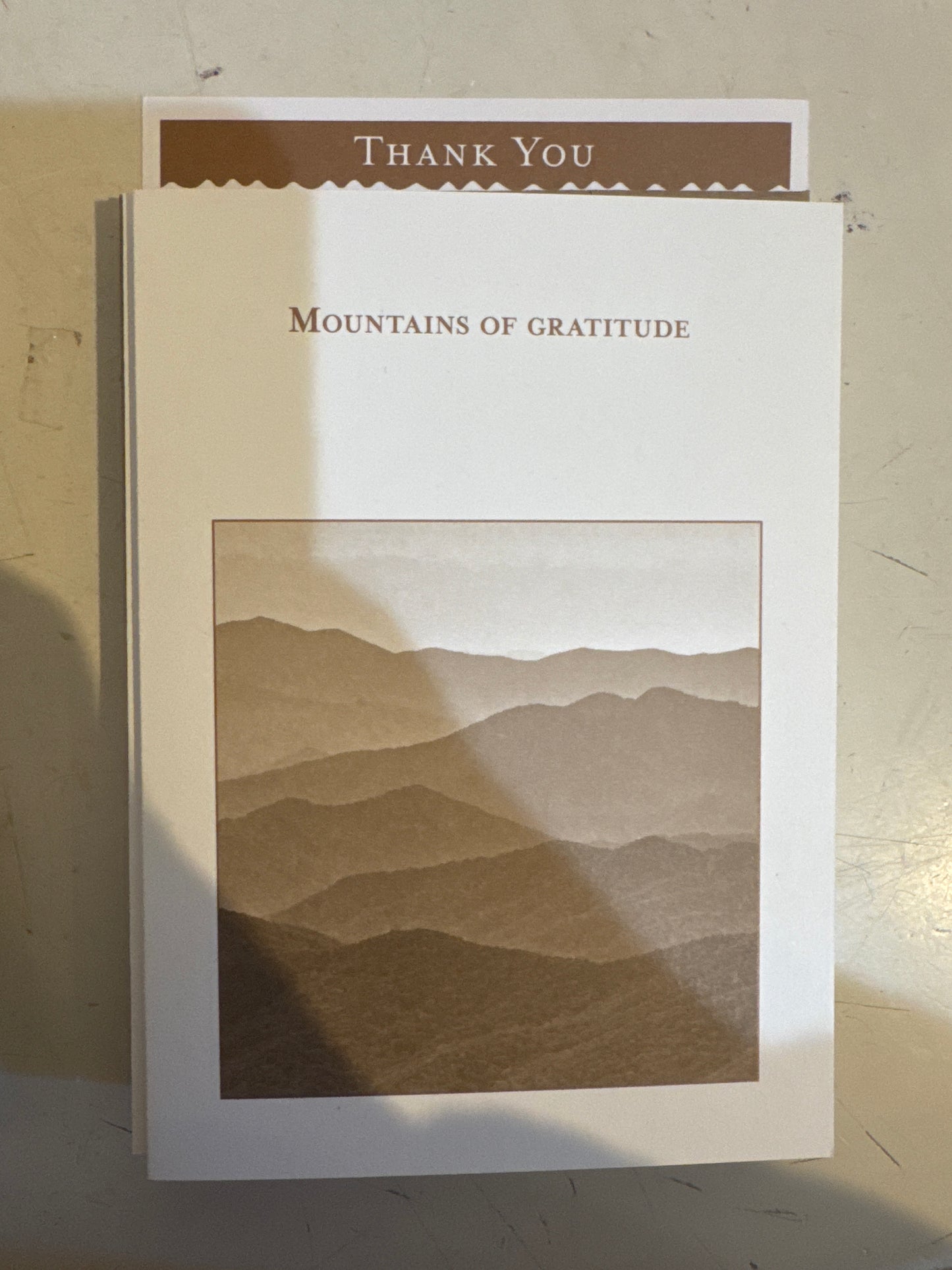 Shannon Martin Cards