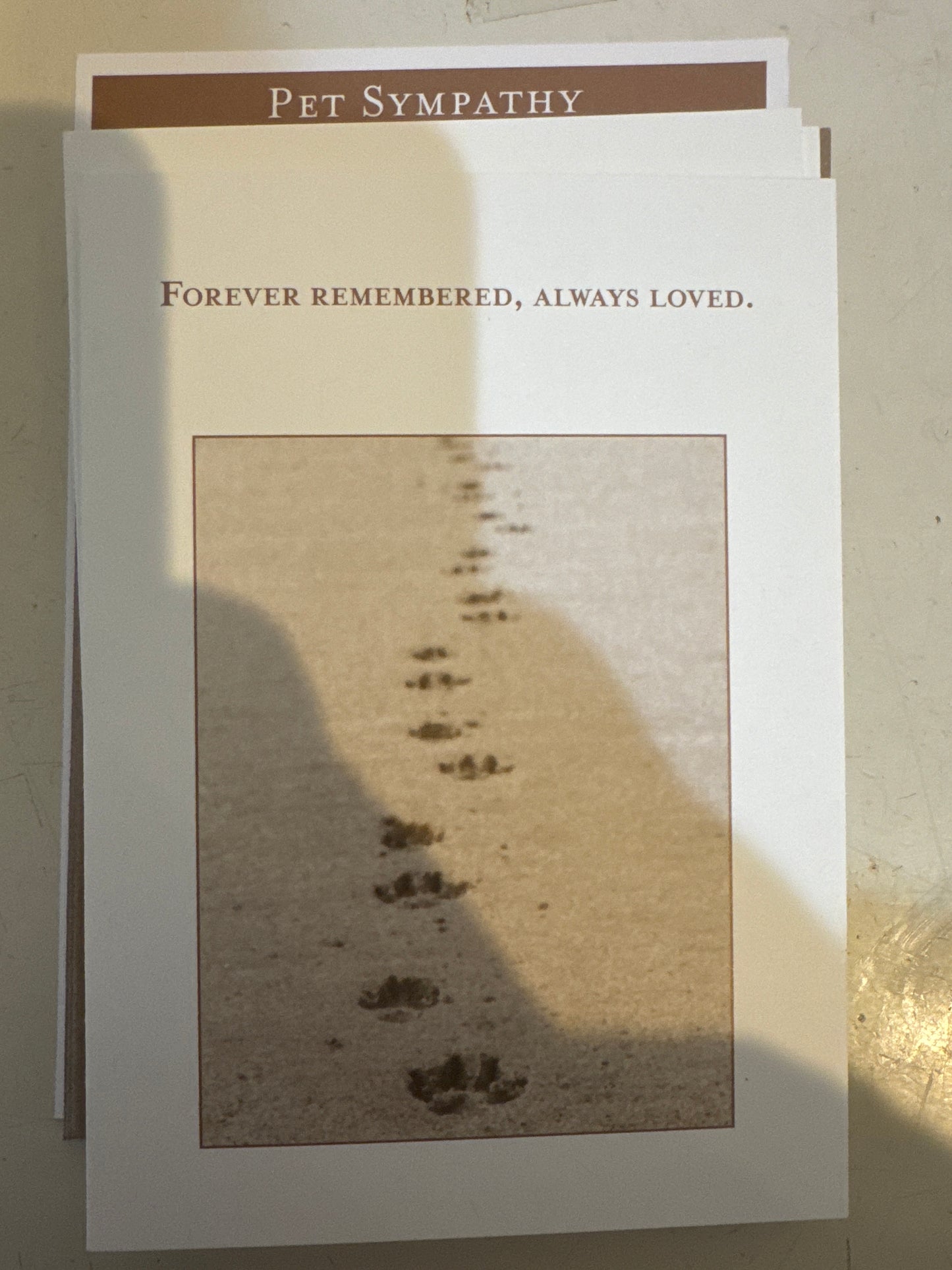 Shannon Martin Cards