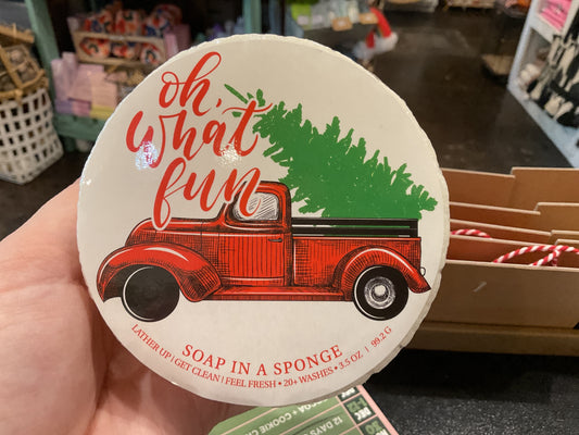 Oh What Fun Shower Sponge