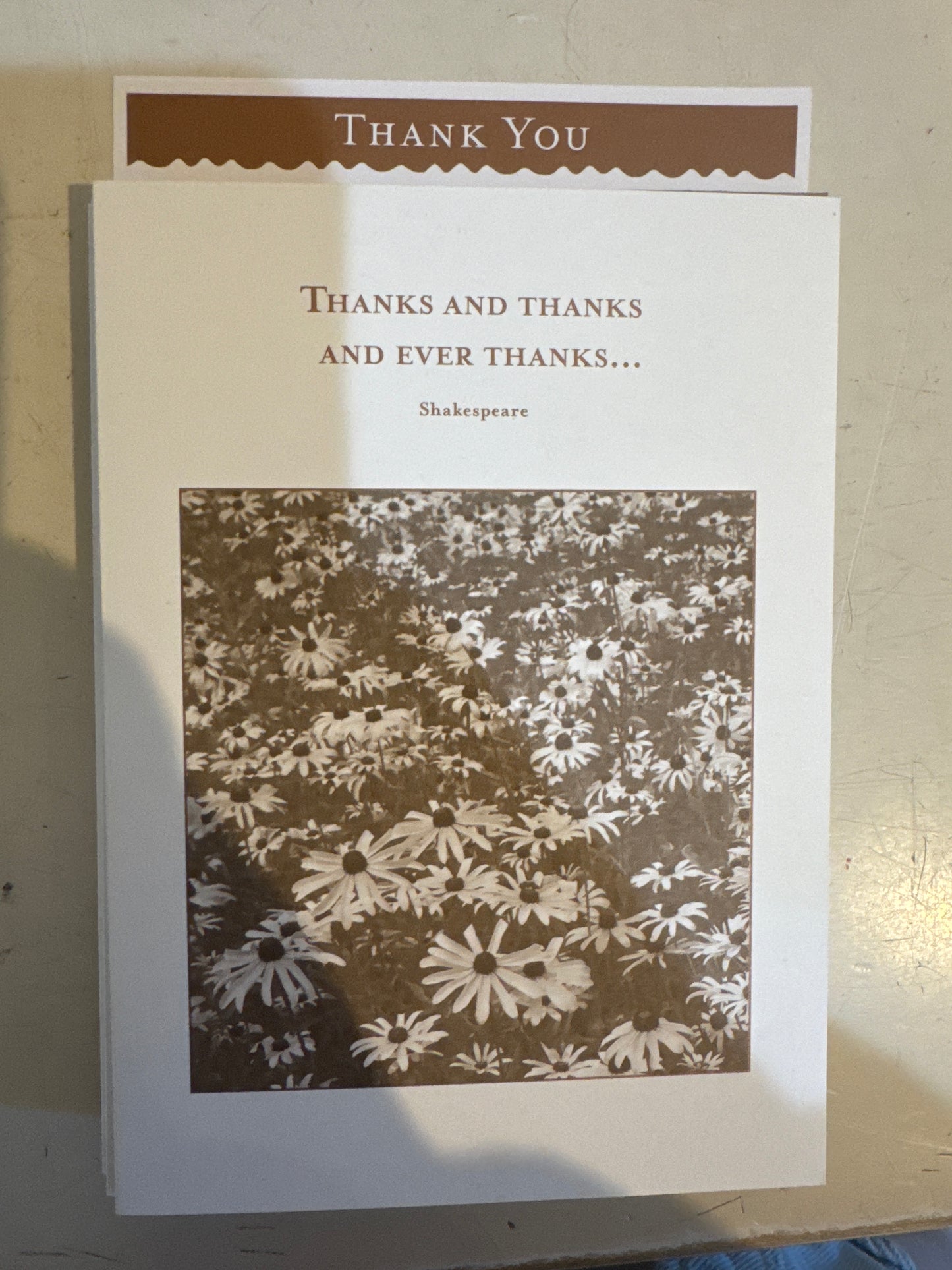 Shannon Martin Cards