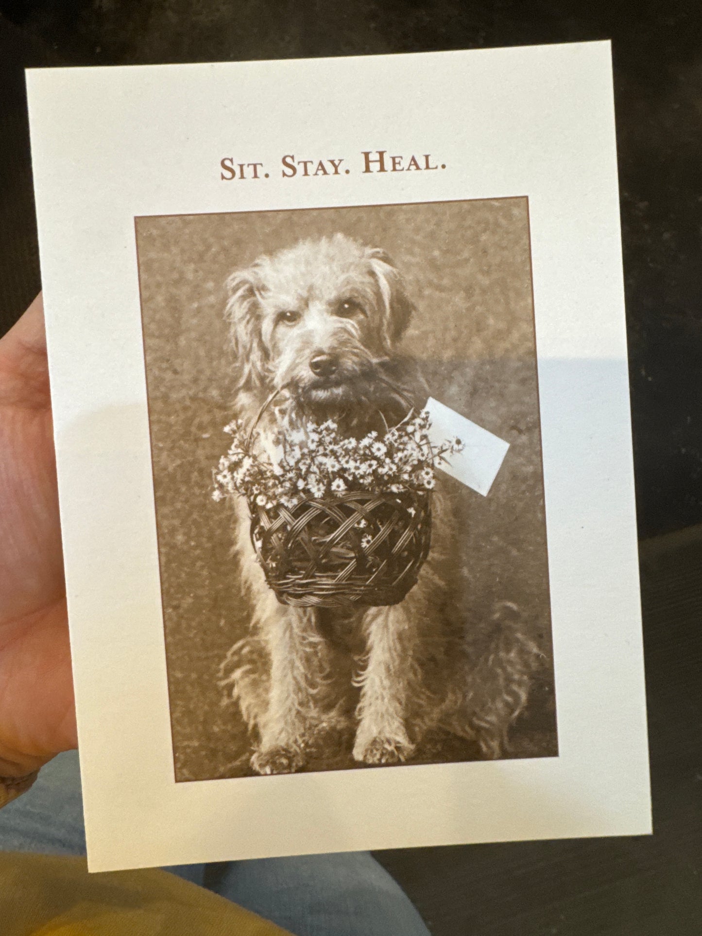 Shannon Martin Cards