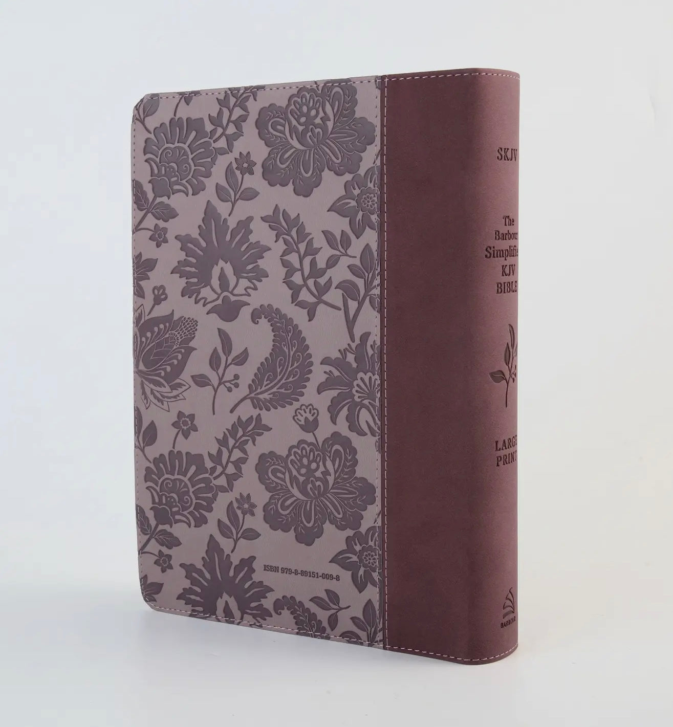 Simplified KJV Bible (large print)