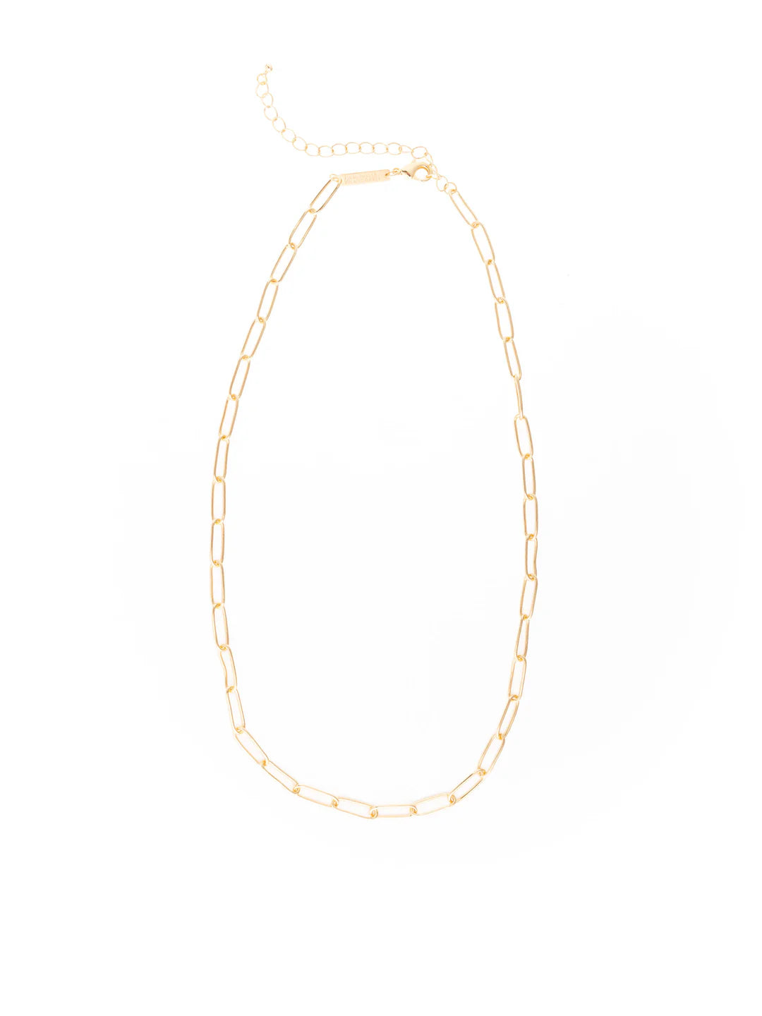 Golden Luxe Charm Necklace