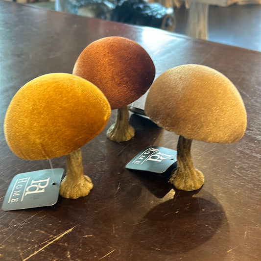 Velvet Mushrooms