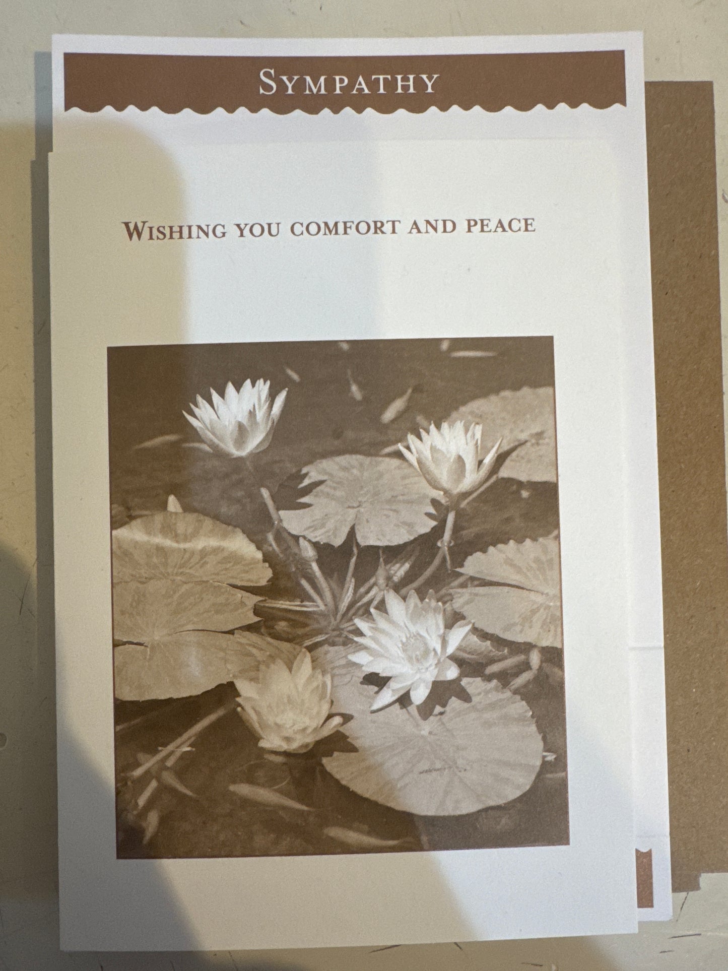 Shannon Martin Cards