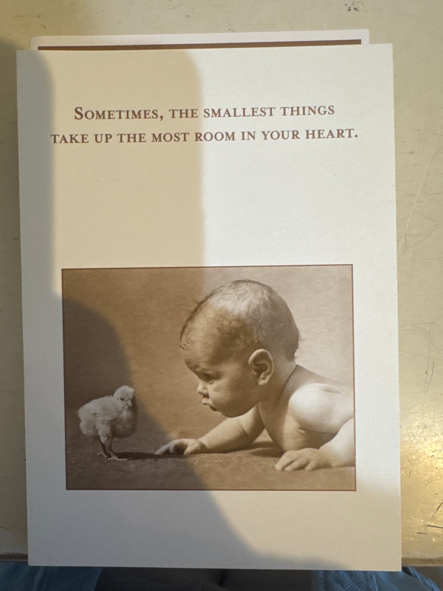 Shannon Martin Cards