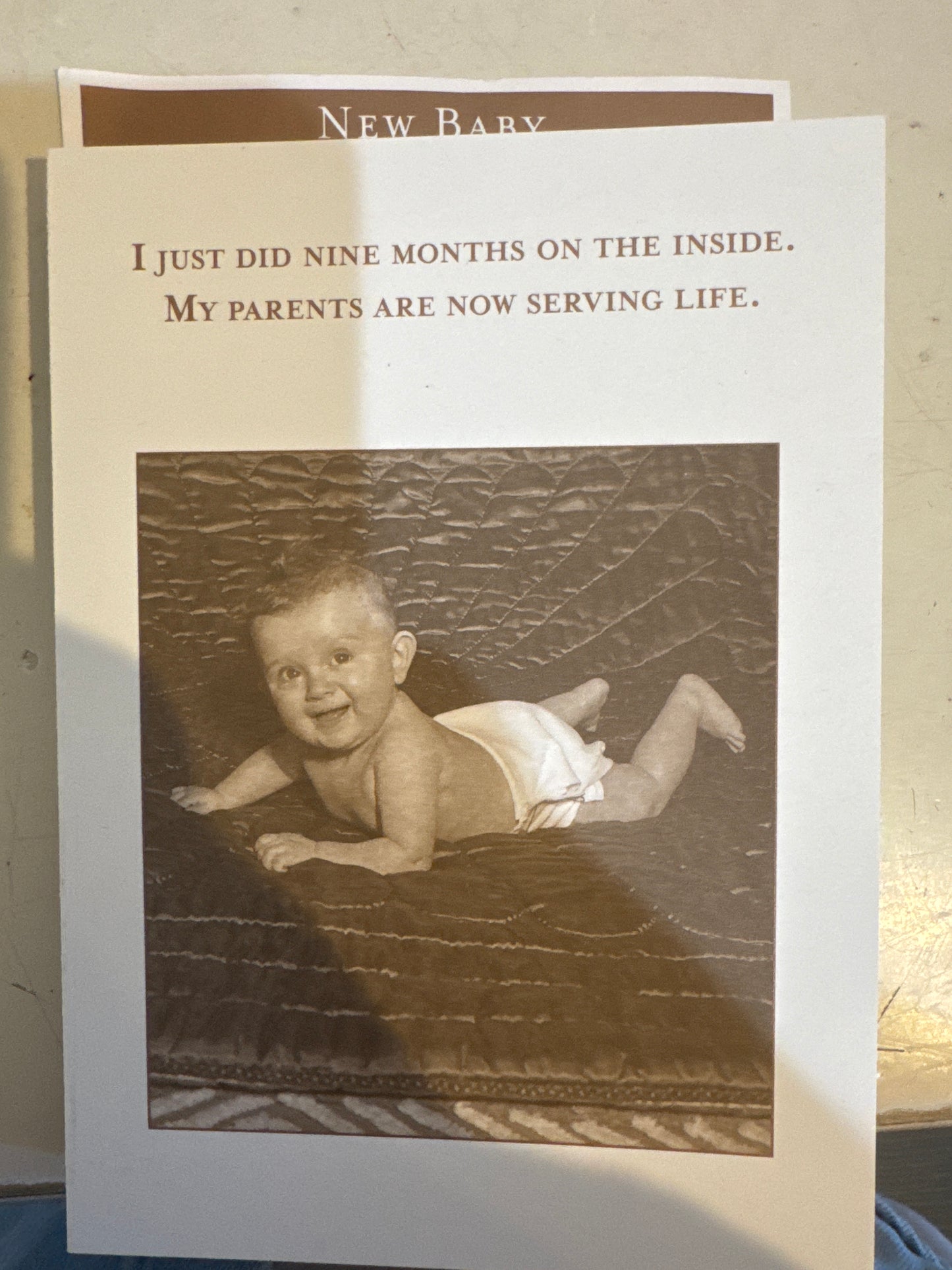 Shannon Martin Cards