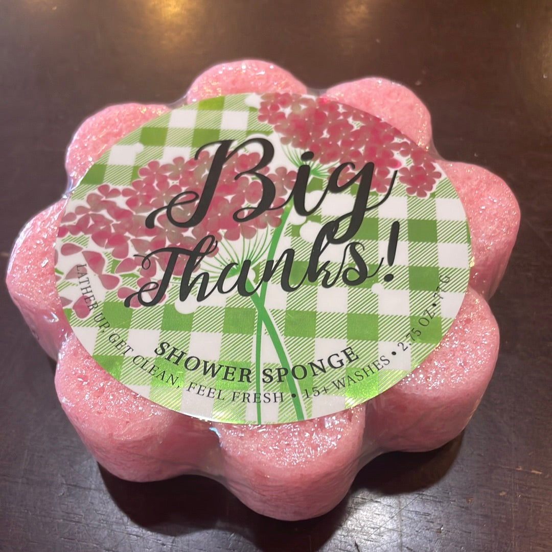 Caren Soap Sponge