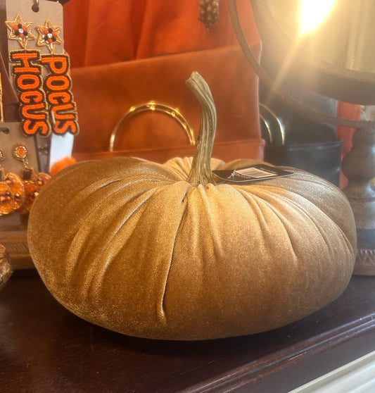 10” Velvet Pumpkin