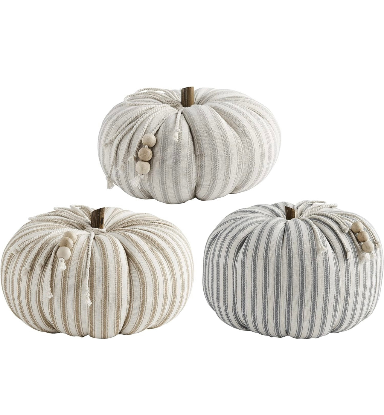 Variation of Large Dark Gray Ticking Stripe Pumpkins.