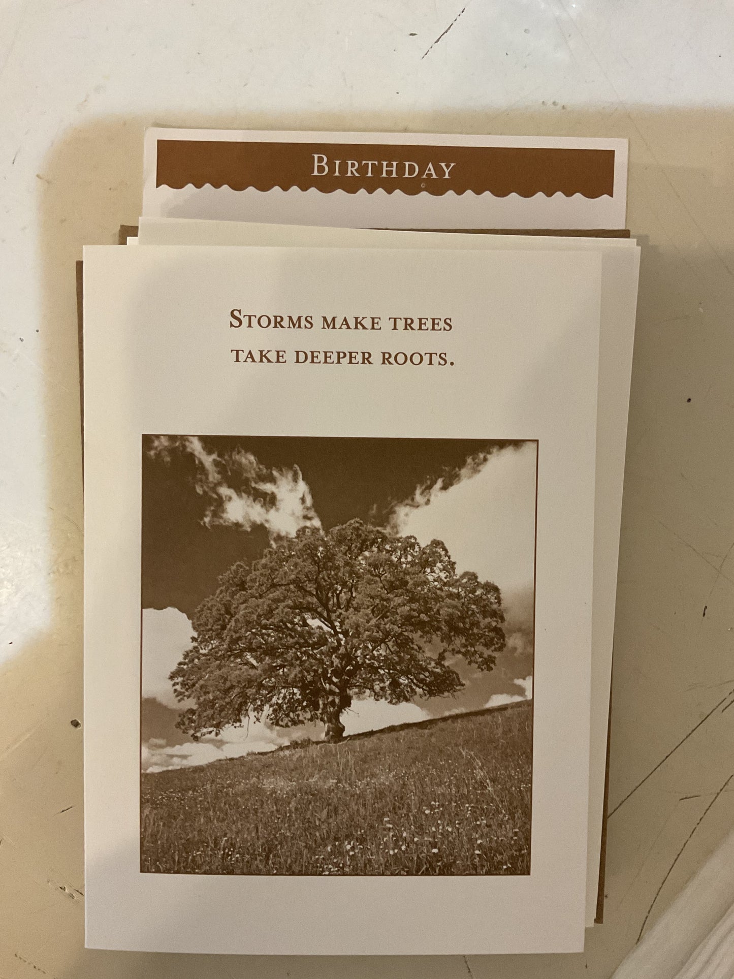 Shannon Martin Cards