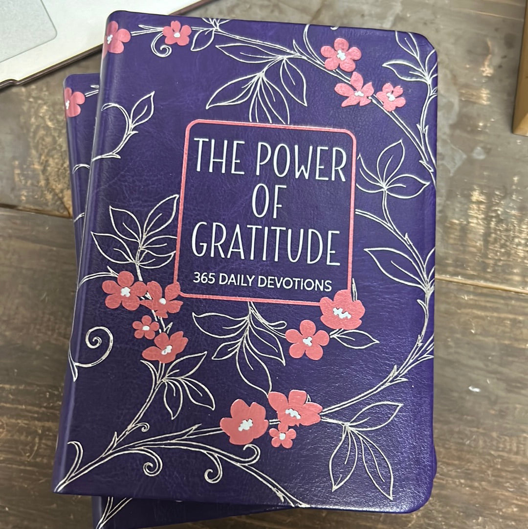 The Power of Gratitude