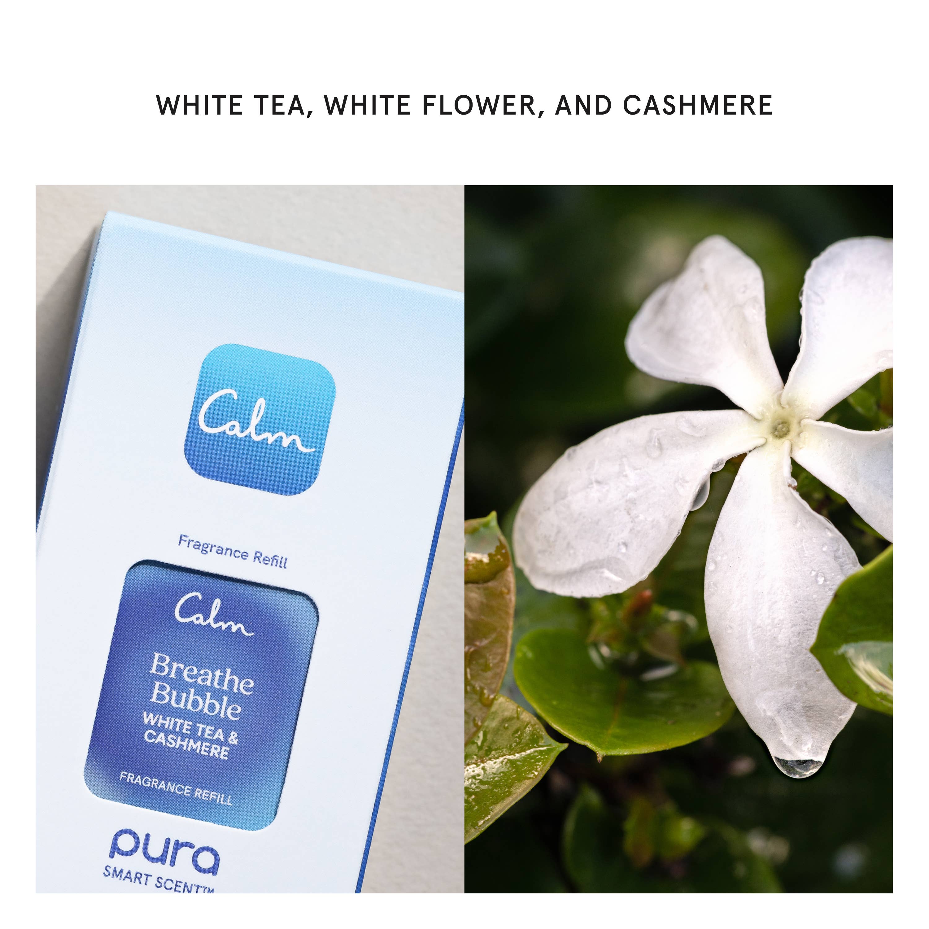Pura - Calm x Breathe Bubble - Pura Smart Scent Refill