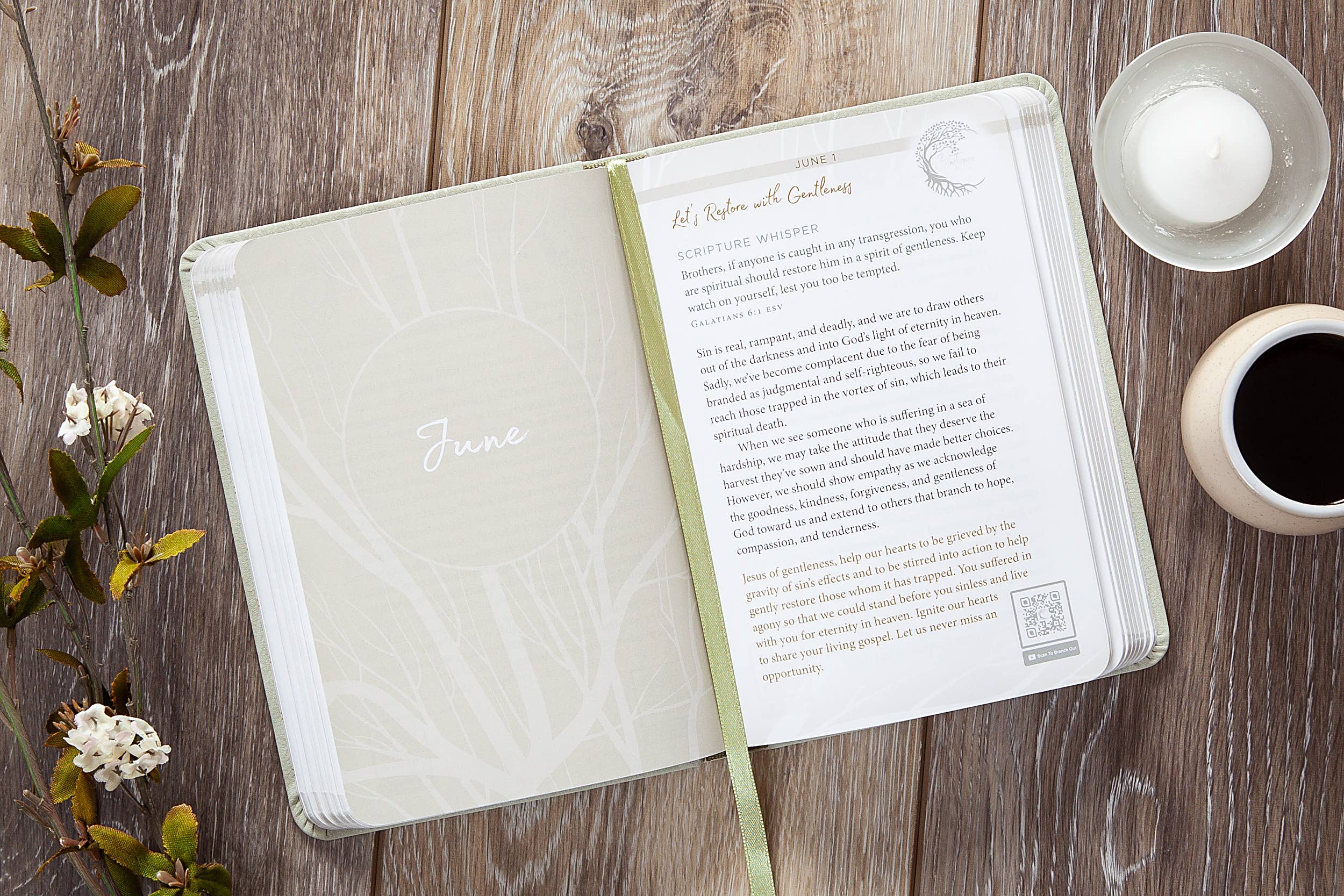 BroadStreet Publishing Group, LLC - Pause and Pray (Daily Devotional)