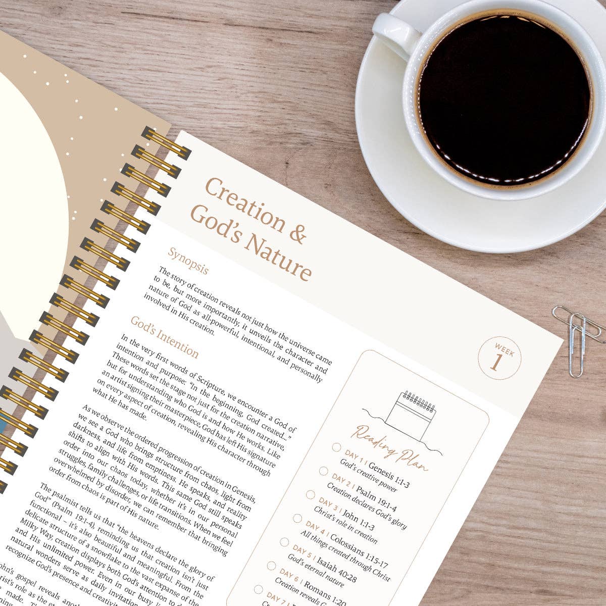 Spiral Bible - The Bible In A Year: A 52-Week Journey Through God's Word