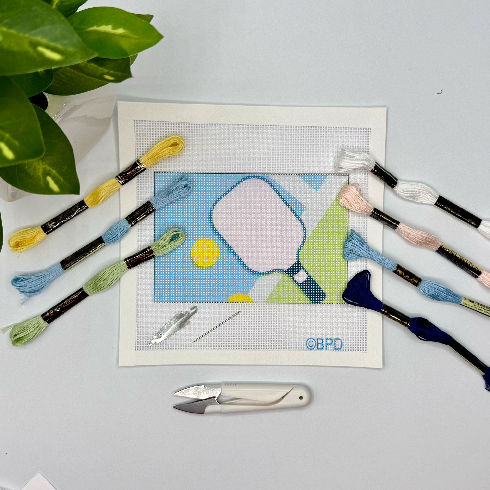 Pickleball Needlepoint Kit