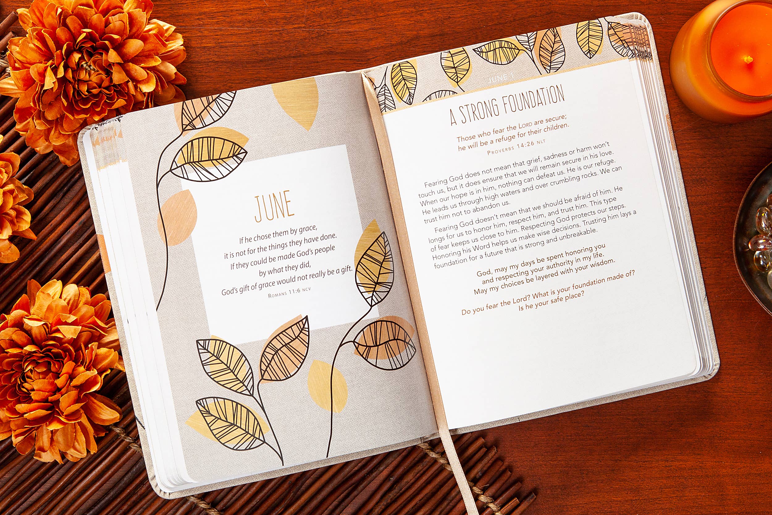 BroadStreet Publishing Group, LLC - For I Know the Plans (Daily Devotional)