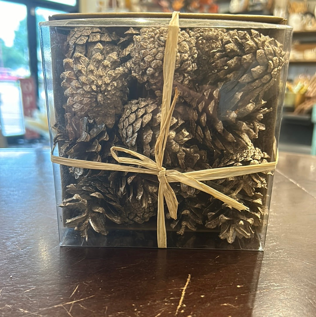 Pine Cones In A Box