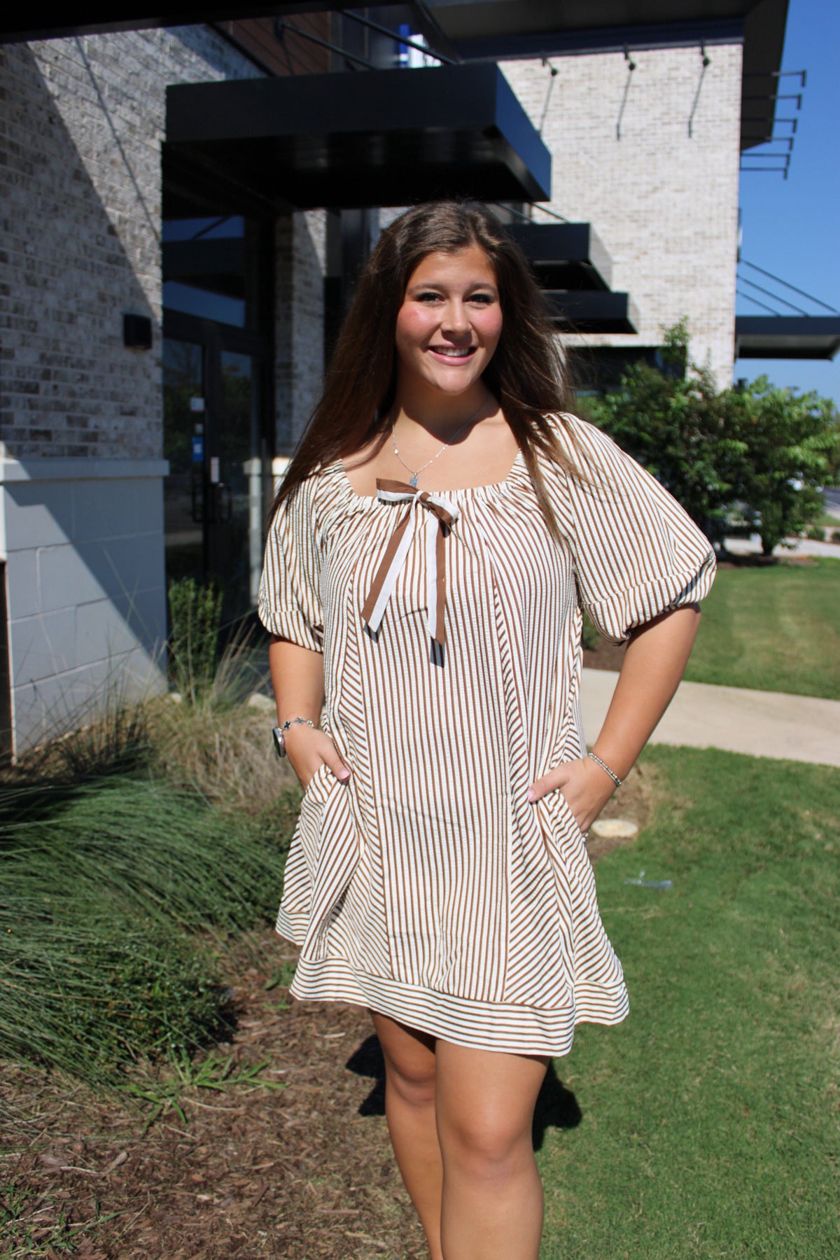 Brown Striped Puff Sleeve Dress