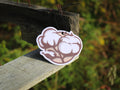 Scent South - Cotton - Air Freshener