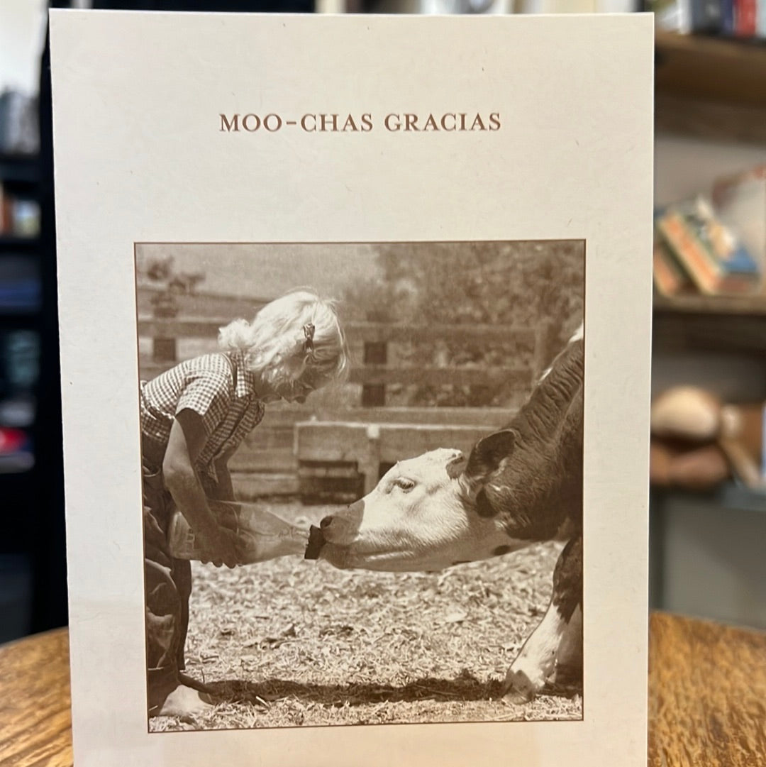 "Moo-chas gracias" Shannon Martin card.