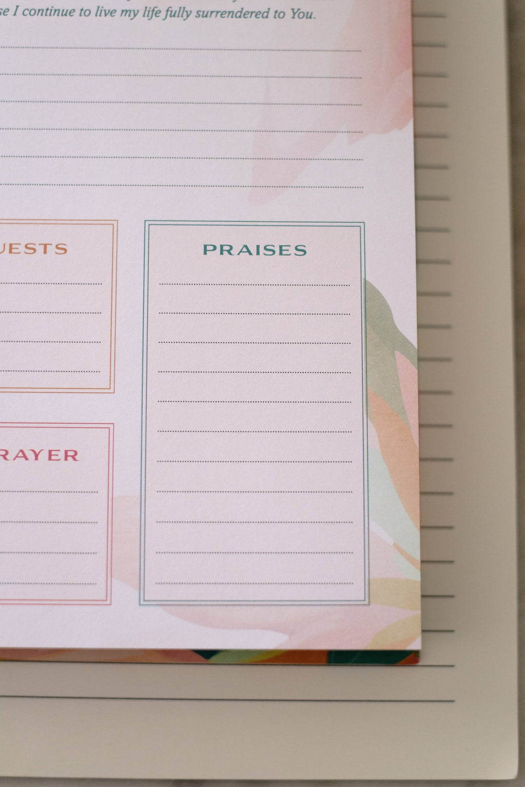 Barbour Publishing, Inc. - A Year of God's Goodness:A Prayer & Praise Tracker for Women