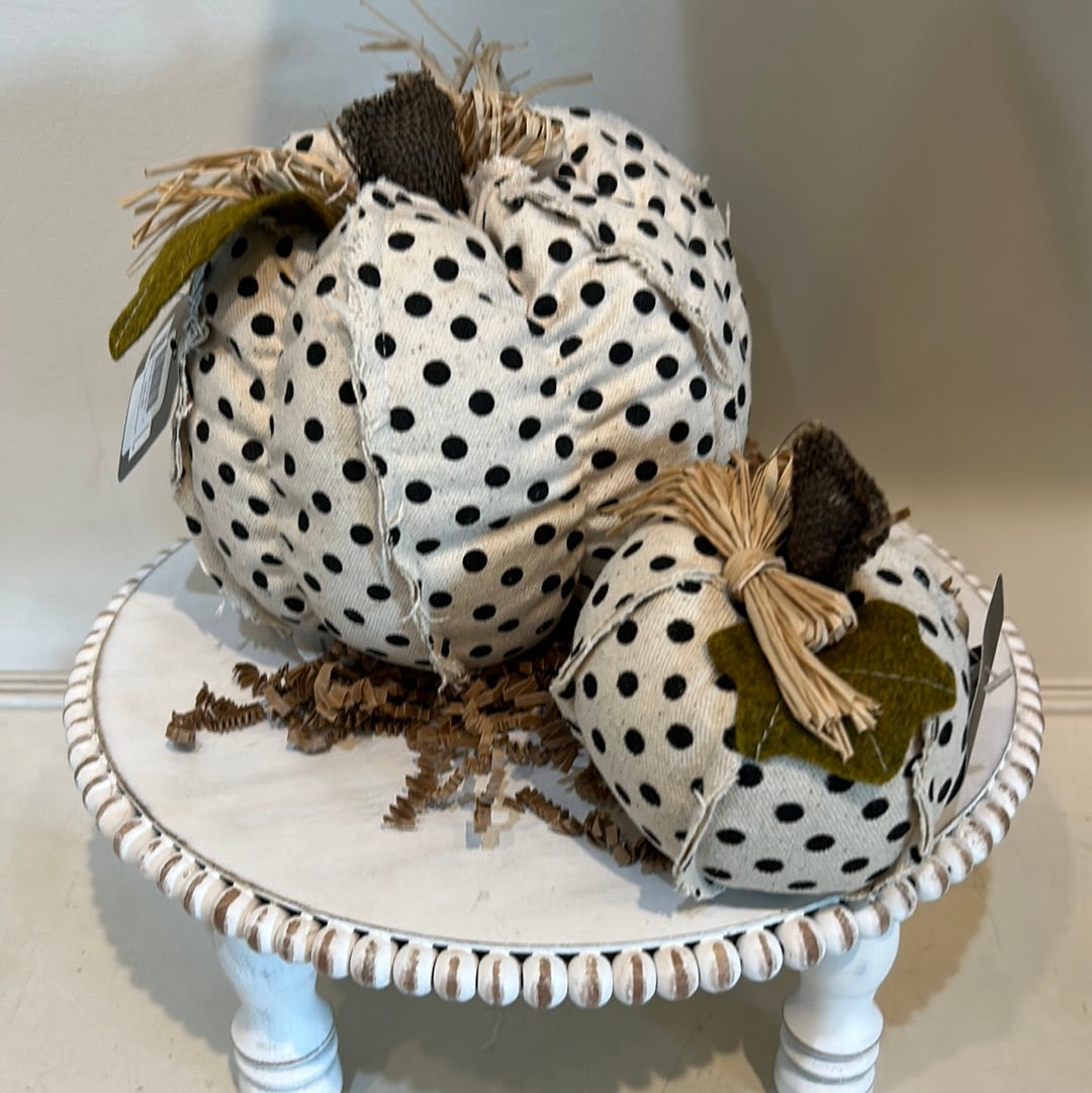 Assorted black and white polka dot pumpkin with straw.ll Black and white polka dot pumpkin with straw.