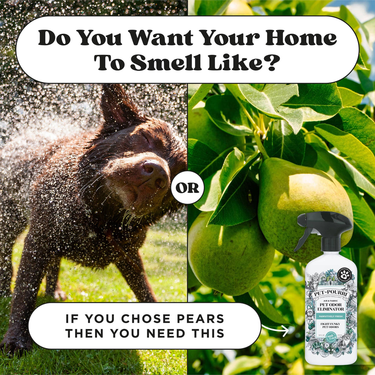 ~Pourri - Pet~Pourri Pawsitively Fresh Air+Fabric Odor Refresher 16oz