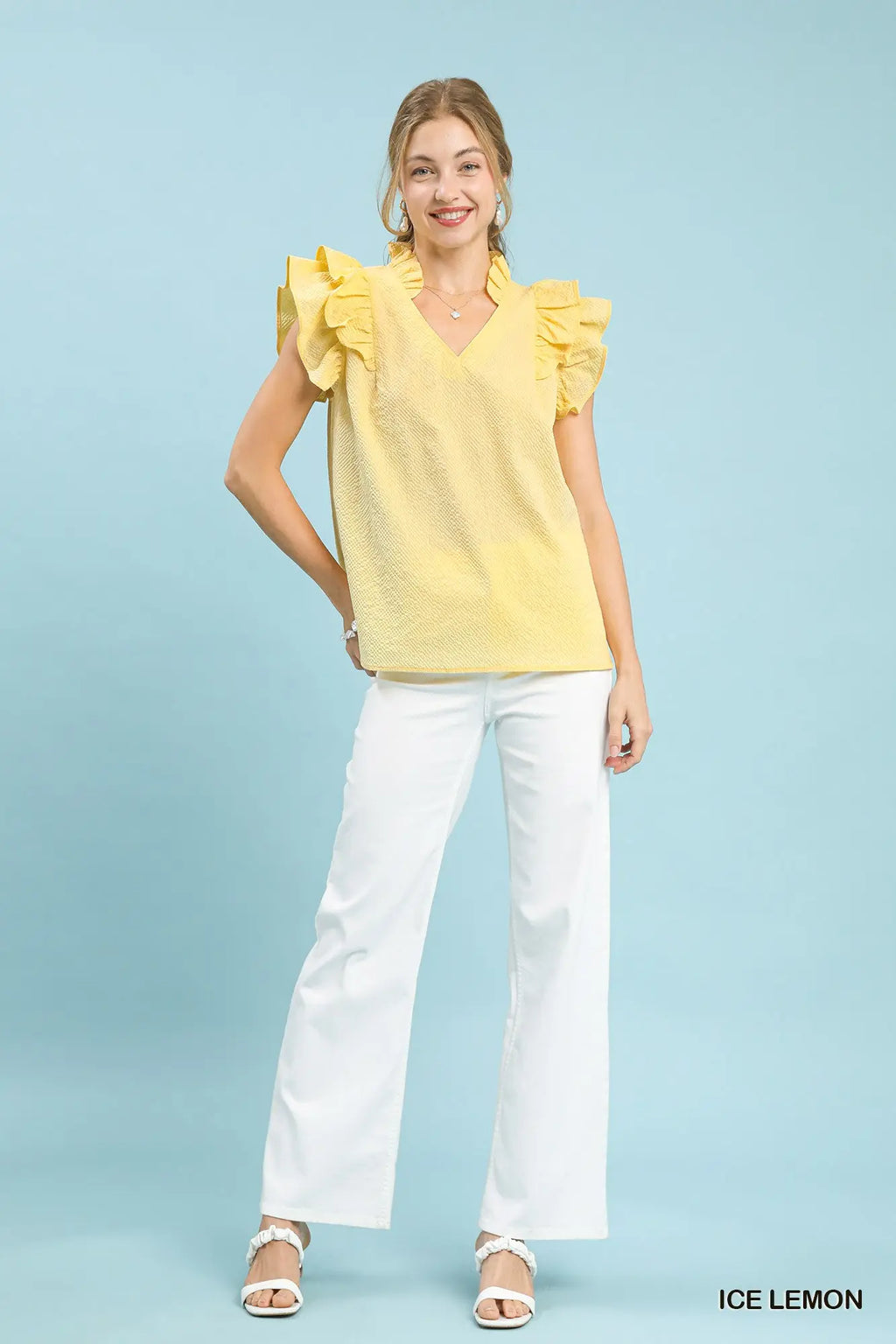 Textured Ruffle Sleeve V-Neck Blouse