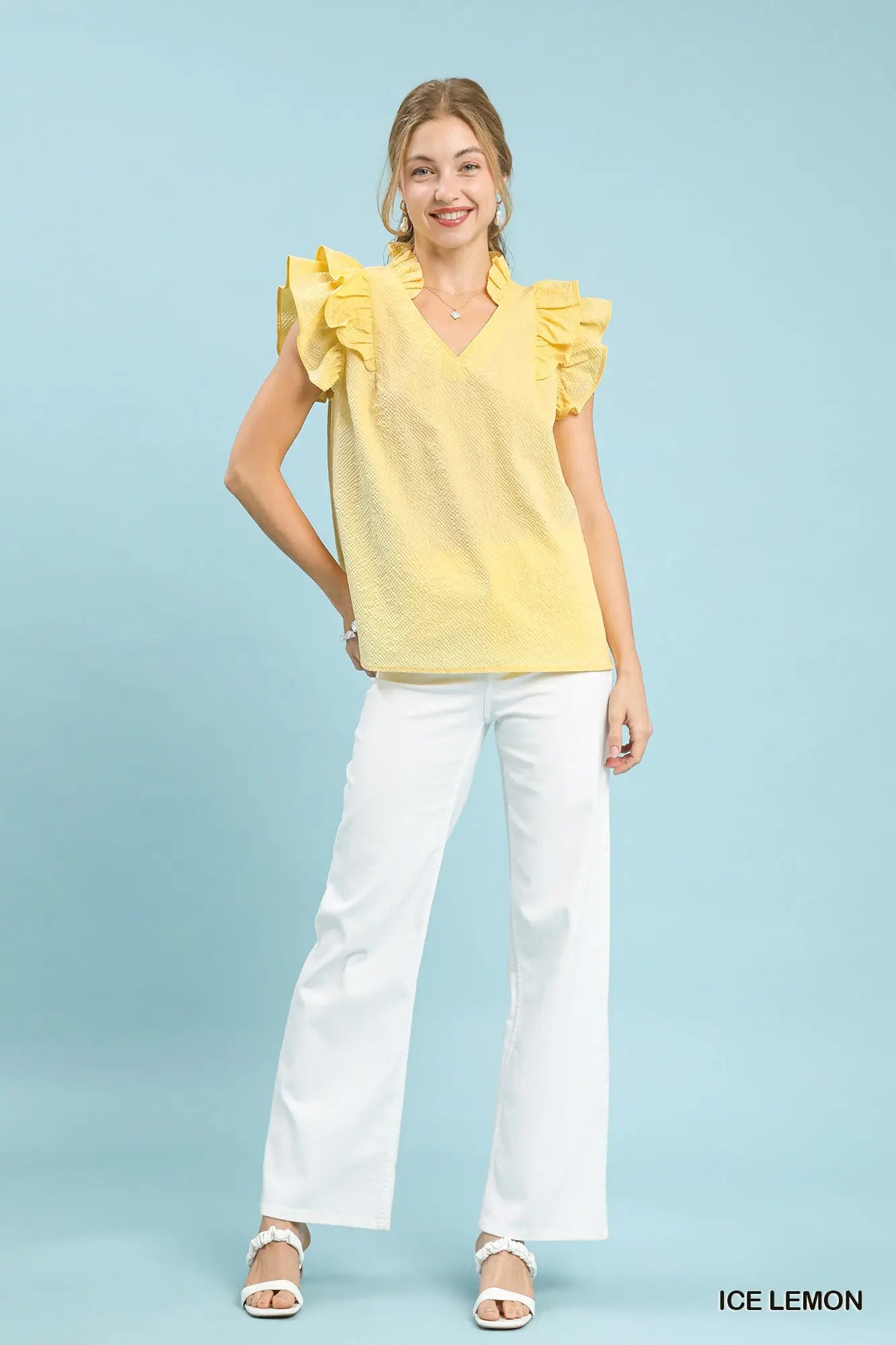 Textured Ruffle Sleeve V-Neck Blouse