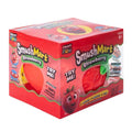 Showcase - RMS Smushmart Giant Scented Squishy Strawberry Fidget Toy