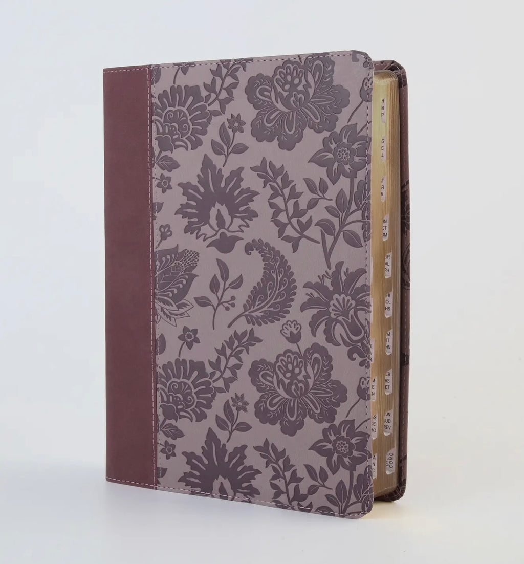Simplified KJV Bible (large print)