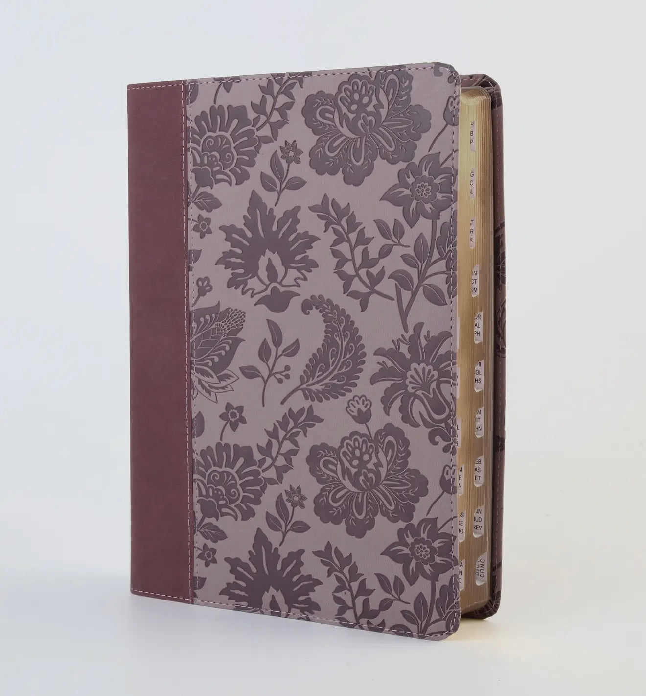 Simplified KJV Bible (large print)