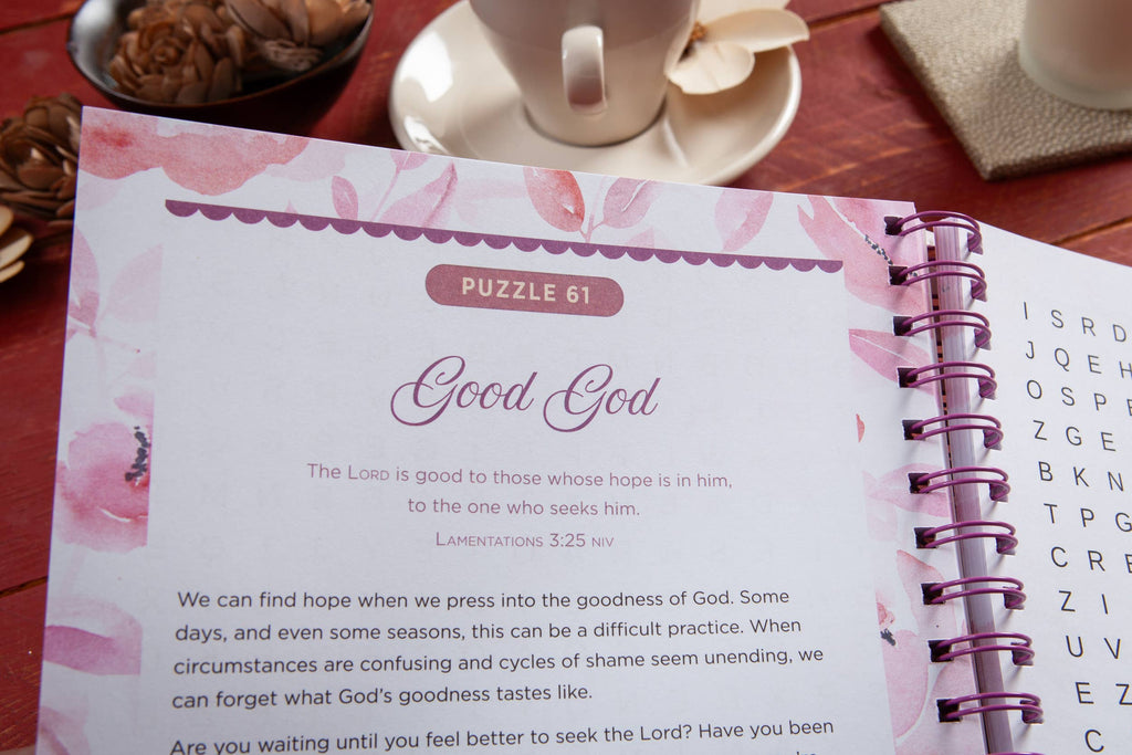 BroadStreet Publishing Group, LLC - 100 Days of Hope for Your Soul (Word Search Devotional)