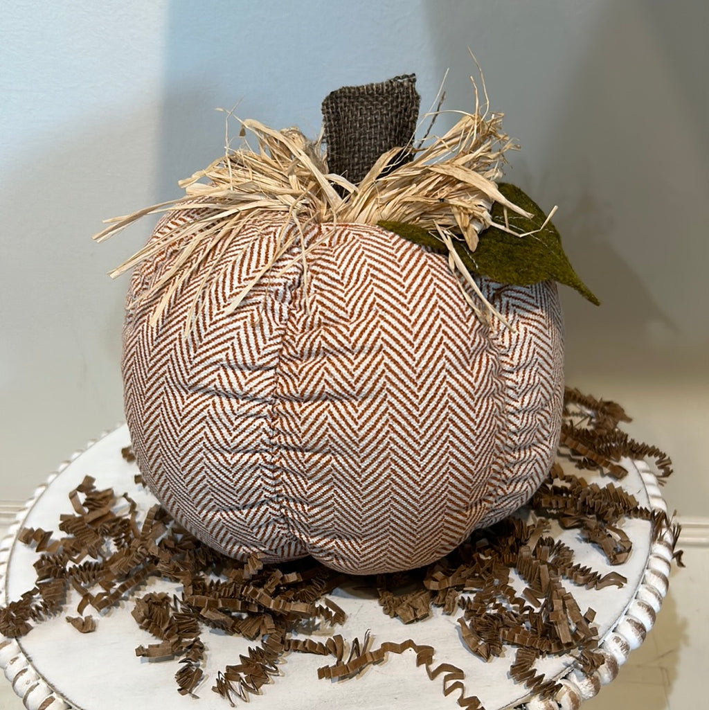 Orange chevron patterned medium pumpkin.