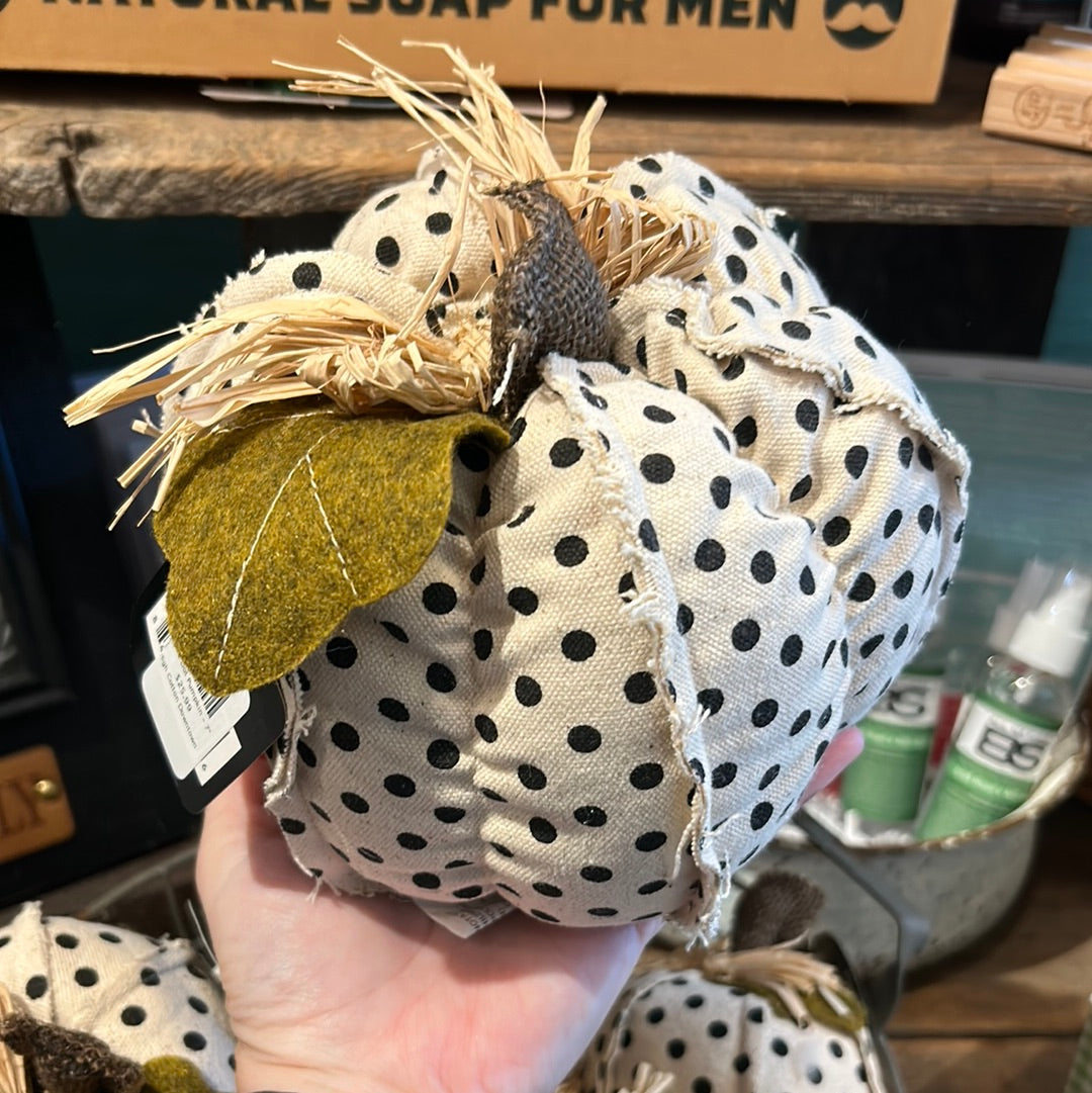 Black and white polka dot pumpkin with straw.