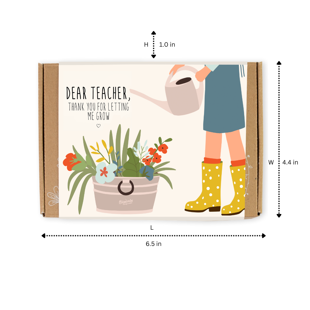 Buzzy Seeds Grow Gifts - Small Dear Teacher Seed Bomb Box | Wildflower Balls | Gift