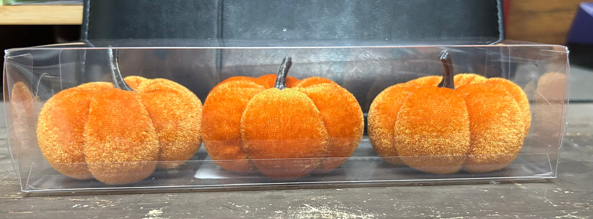 Orange Mini Pumpkins