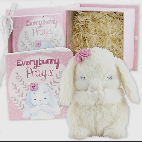 Baby Gift Set w/ Book and Stuffed Animal