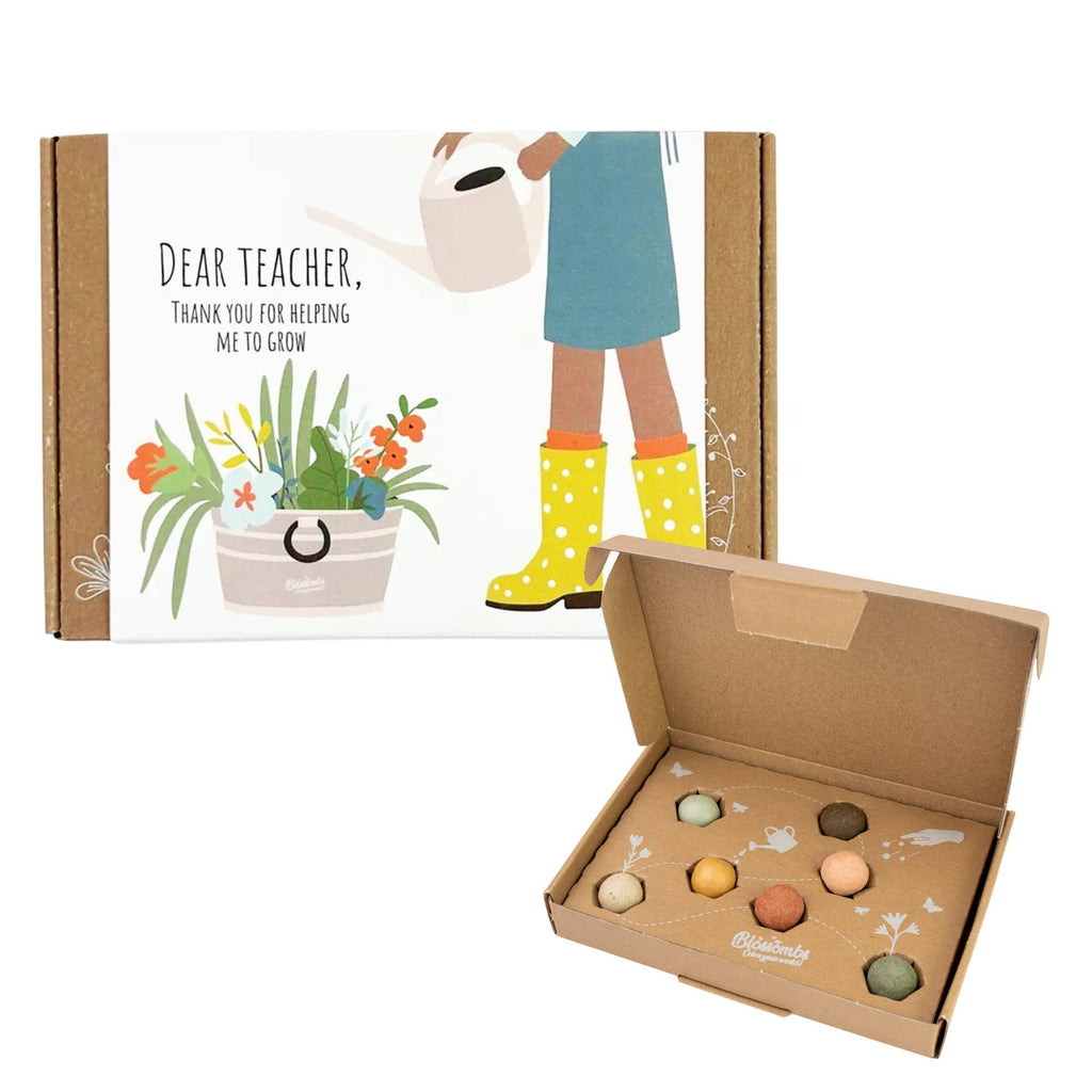 Buzzy Seeds Grow Gifts - Small Dear Teacher Seed Bomb Box | Wildflower Balls | Gift