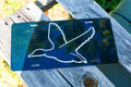 Scent South - Black Mallard - tag