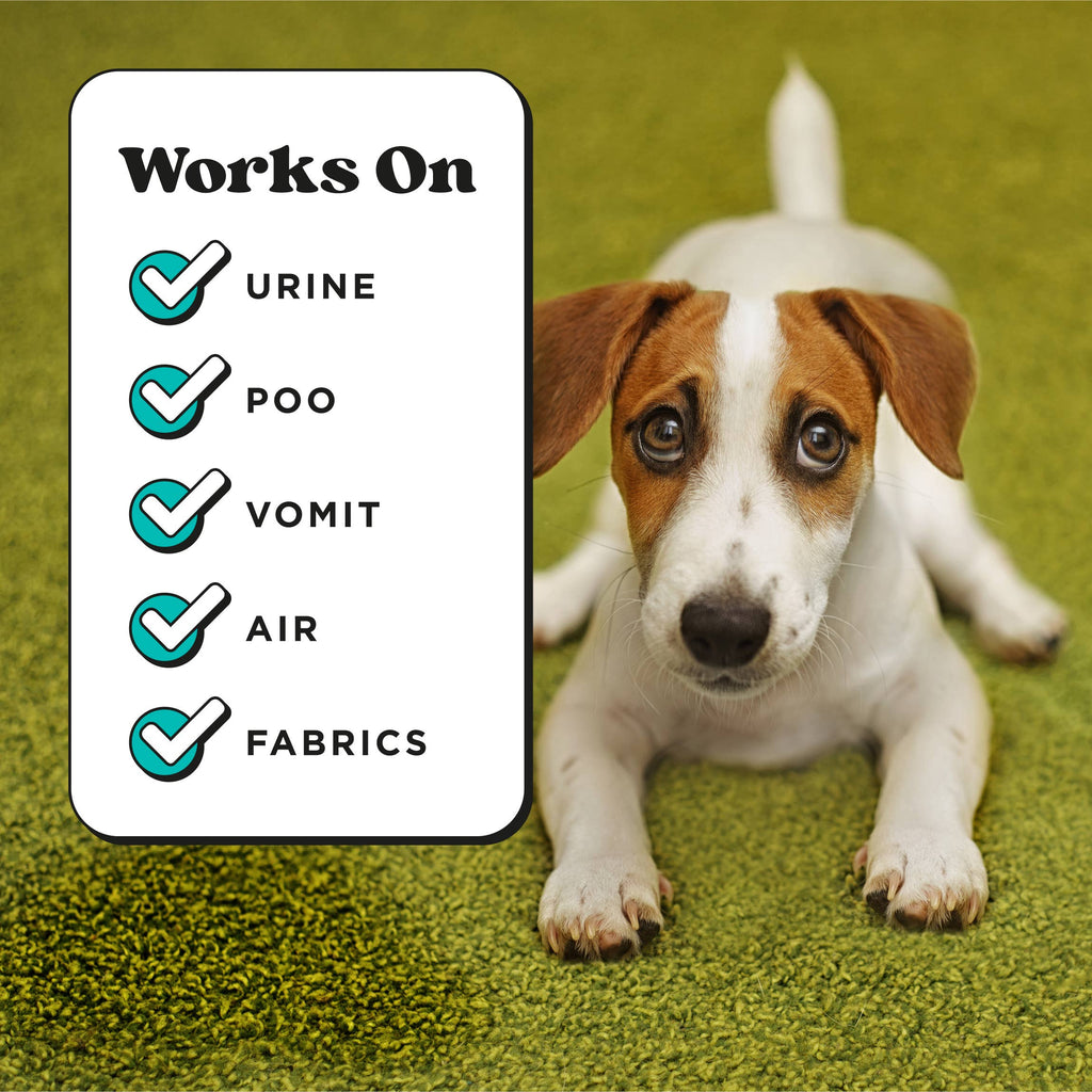 ~Pourri - Pet~Pourri Pawsitively Fresh Air+Fabric Odor Refresher 16oz