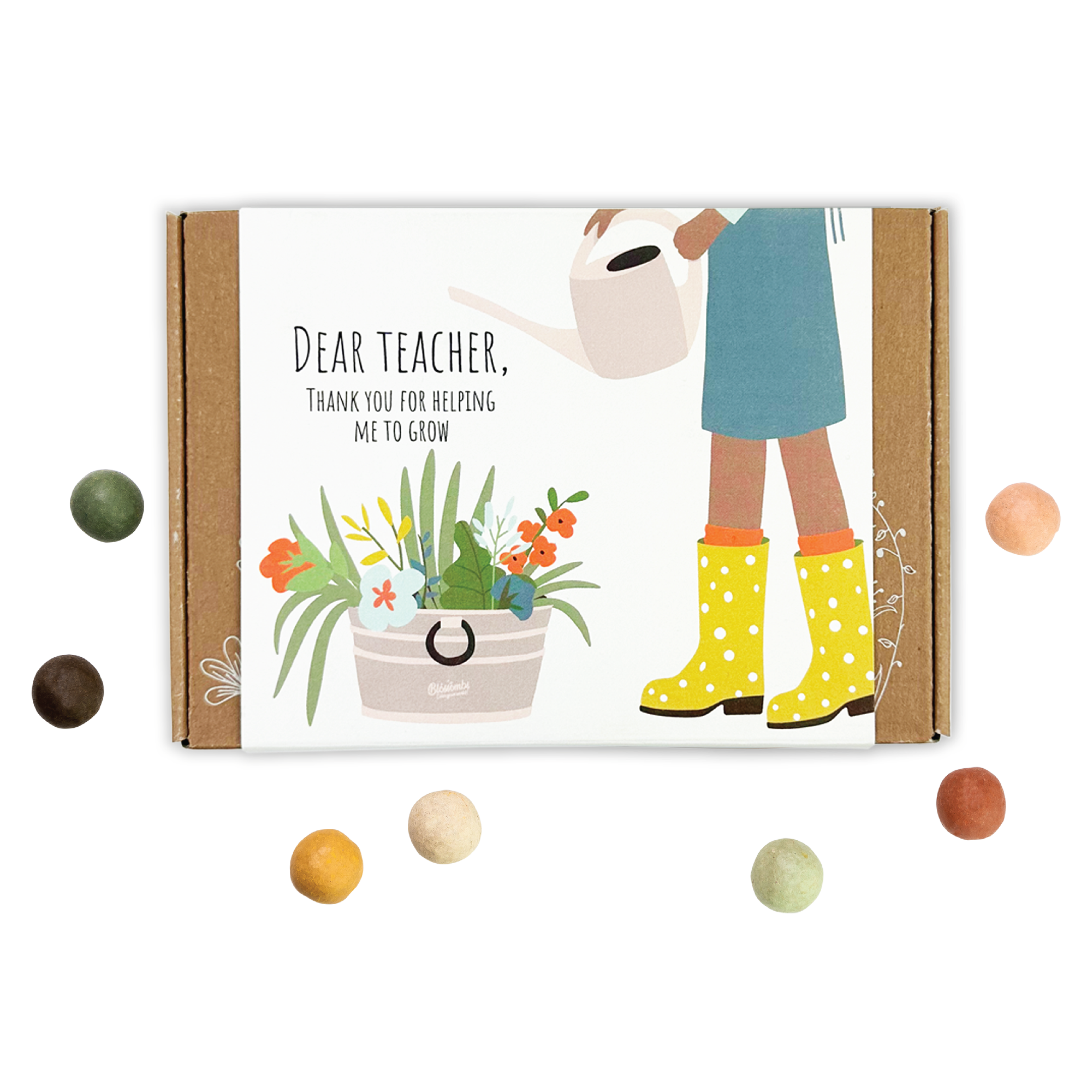 Buzzy Seeds Grow Gifts - Small Dear Teacher Seed Bomb Box | Wildflower Balls | Gift