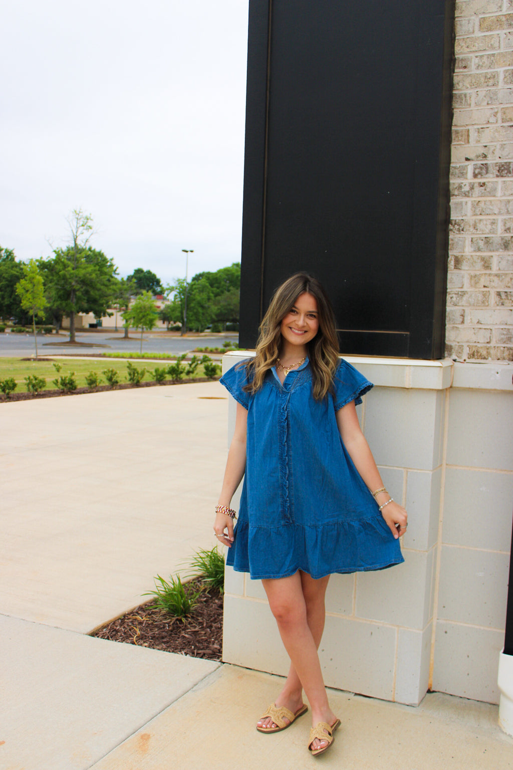Denim front Ruffle Mini Dress