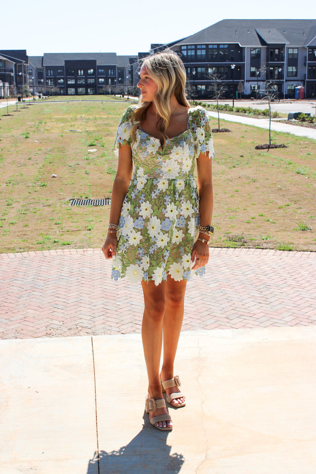 Floral Lace Puff Sleeve Embroidered Mini Dress