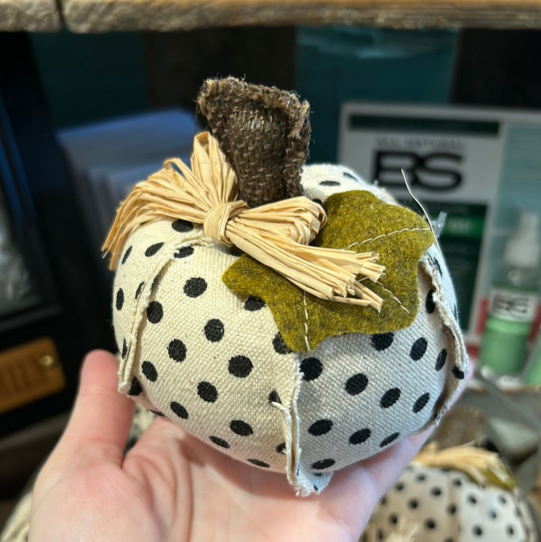 Small black and white polka dot pumpkin with straw.ll Black and white polka dot pumpkin with straw.