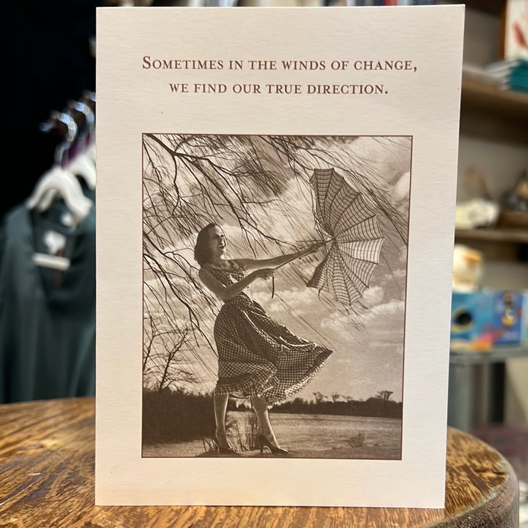 "Sometimes in the winds of change, we find our true direction." Shannon Martin card.