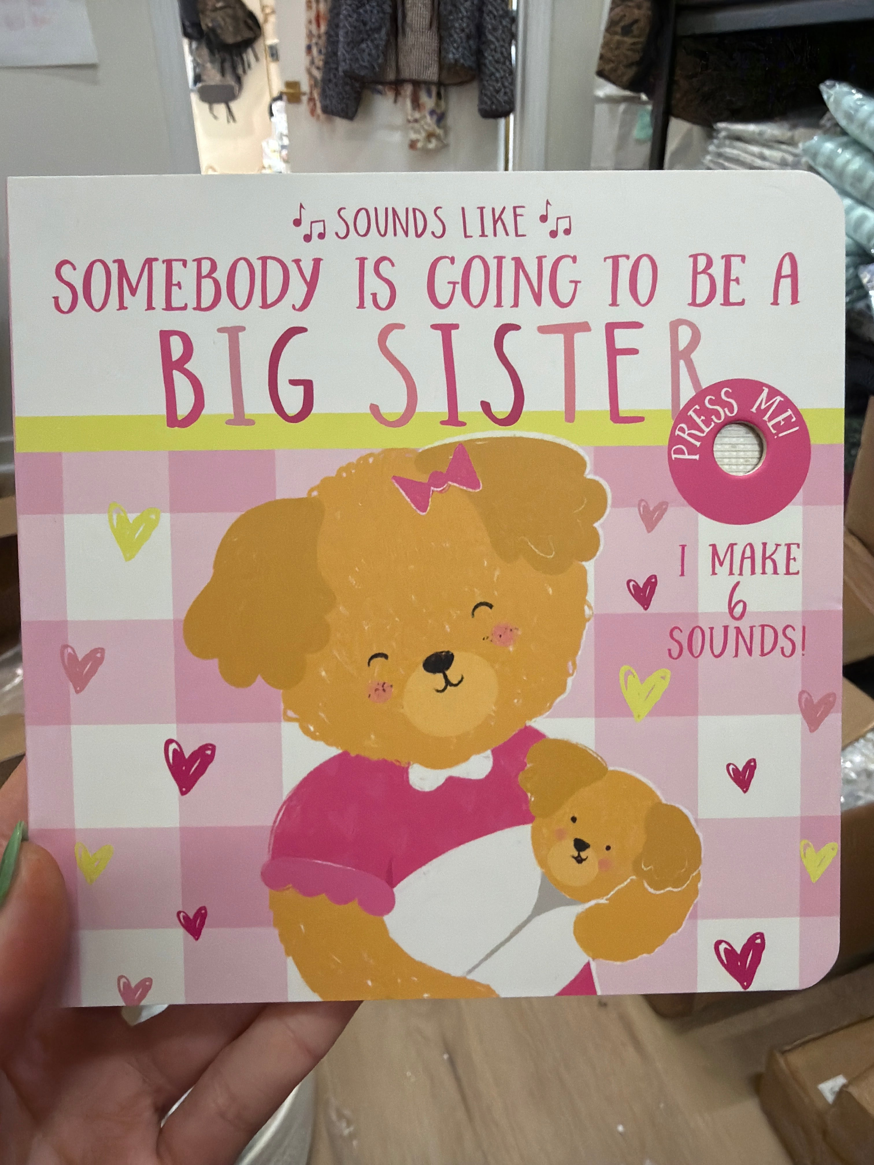 Children’s Sounds Like Book