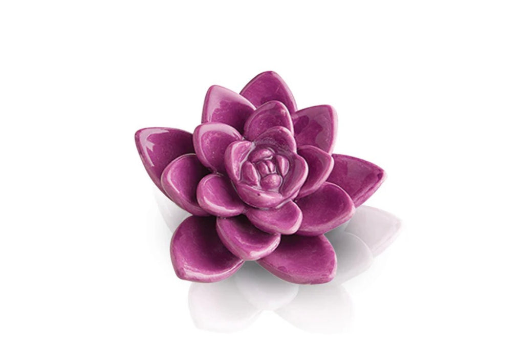 Nora Fleming Minis